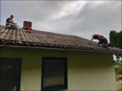 Bild1